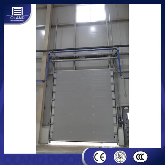 High Quality Custom Industrial Automatic French Perspective Lifting Industrial Sectional Door