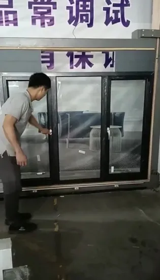 Apartment Vertical Double Glazed Window Glass Exterior Aluminum Casement Windows for Houses 