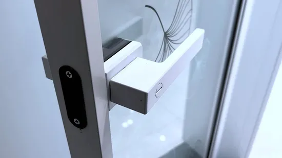 Security Door with Laminated Glass French Style Aluminum Casement Hinged Door 